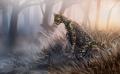 1436649964.wolfsroad ocelot