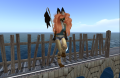 Snapshot 002