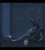 1234611562.gearott...ndramen