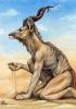 1277639013.nimrais... seeker