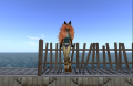 Snapshot 003