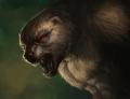 1316935726.ryanwar...fa .jpg