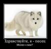 1288529786 foto 3