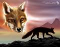 Vagabond_by_Culpeo_Fox