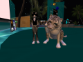 Snapshot004 001