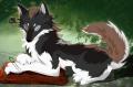1289837037.dragoon...epywolf