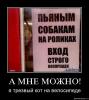 s3img 5315149 2005 1