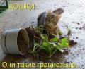 1286132234 foto- 22