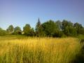 IMG20110801 022