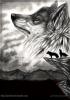 Fox_7