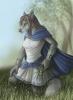 1288297418.rukis newie2