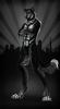 1455917358.wolfsroad doggymale