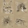 430.-star- sketches5