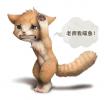 1328712400.silverf...inal fa