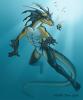 1149474130.jaxxbla...on swim
