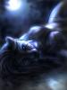 Anthro_Girls_by_Sw...Sin.jpg