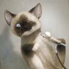 1352297374.silverf...se copy
