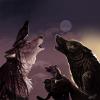 1209073897.coyox march