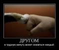demotivator008