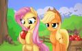 my-little-pony-���...1007841