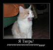 tmprqM0Ez