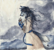 1369921955.bluari ...crystal
