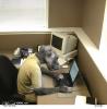 1244054627 dayjob2004