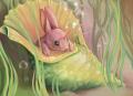 1346269415.goldend... rabbit