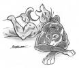 1148383239.bagheera akepillow