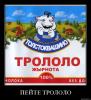 trololo 01