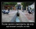 1285504717 foto 31