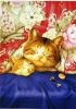 catpic7