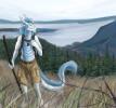 Shereth commission