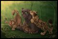 1275938527 jungle ... dolphy