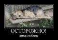 pwntqr8j