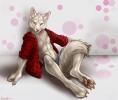 1253002116.rukis dominodingo