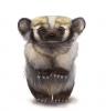 1315502450.silverf...dger fa