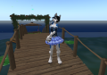 Snapshot 001