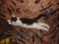DSC01875