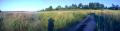 IMG20110801 019