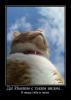 s3img 100697261 2012 1