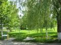 IMG 4535