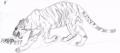 �������� �����