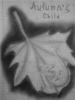 00828fccc585