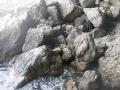 IMG 7098