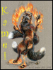 Fox_9