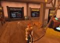 Snapshot 009
