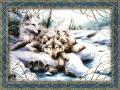 wolfs