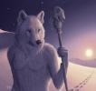 1250631926.myenia arctic
