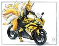 1235083613.kacey foxy bike